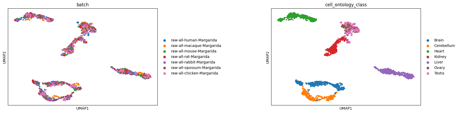 _images/Integrate_RNAseq_across_11_species_23_0.png
