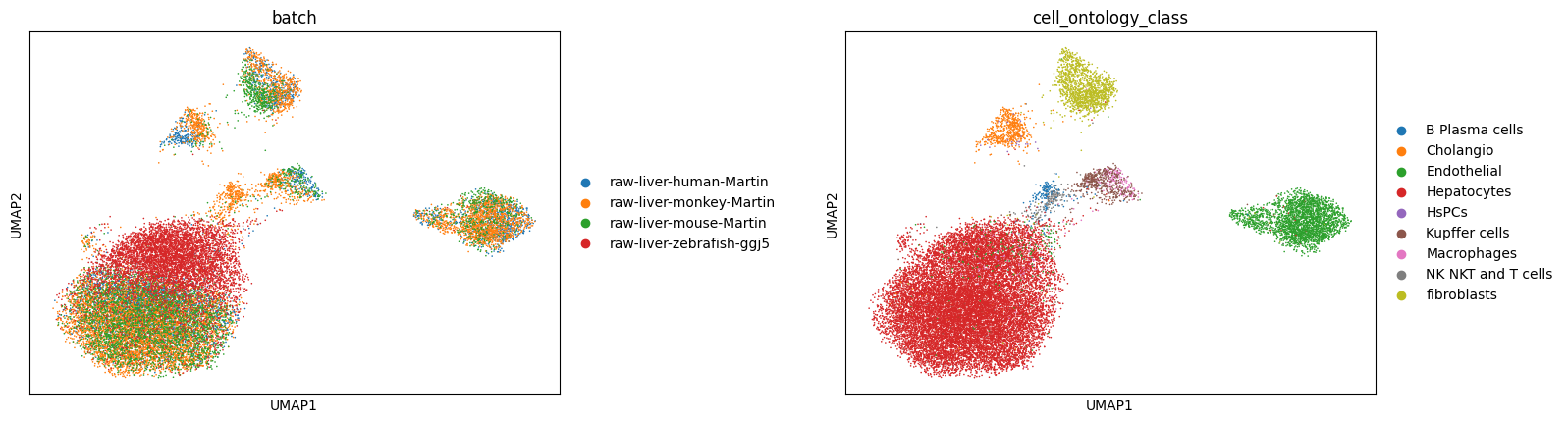 _images/Integrate_liver_across_4_species_22_0.png
