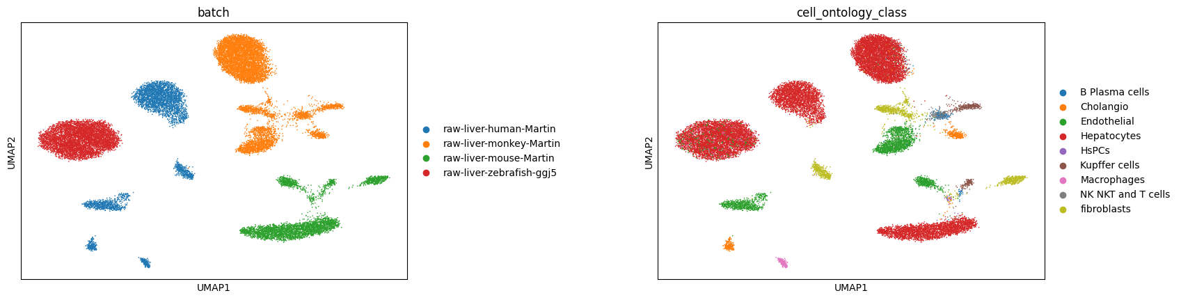 _images/Integrate_liver_across_4_species_32_0.png