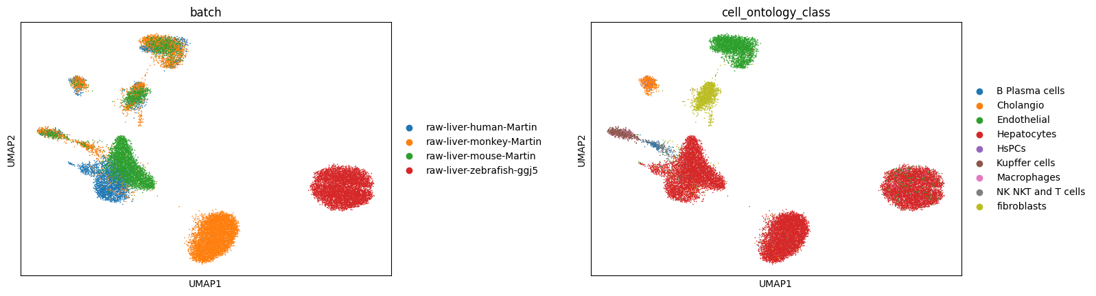 _images/Integrate_liver_across_4_species_37_0.png