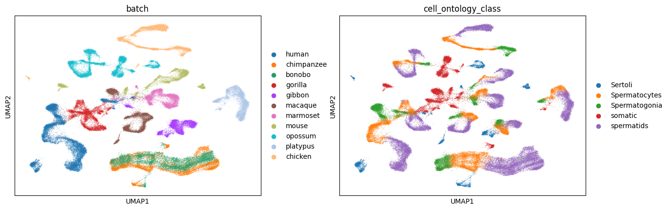 _images/Integrate_testis_across_11_species_99_1.png