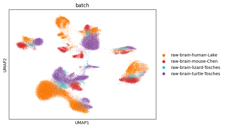_images/integration_annotation_in_relatives_distant_species_28_0.png