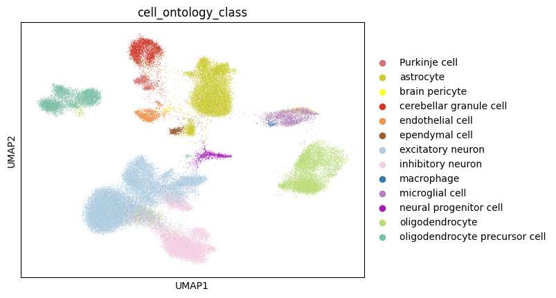 _images/integration_annotation_in_relatives_distant_species_29_0.png