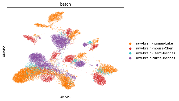 _images/integration_annotation_in_relatives_distant_species_41_0.png