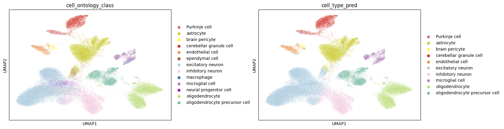 _images/integration_annotation_in_relatives_distant_species_43_0.png